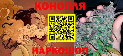 прущие грибы Можга