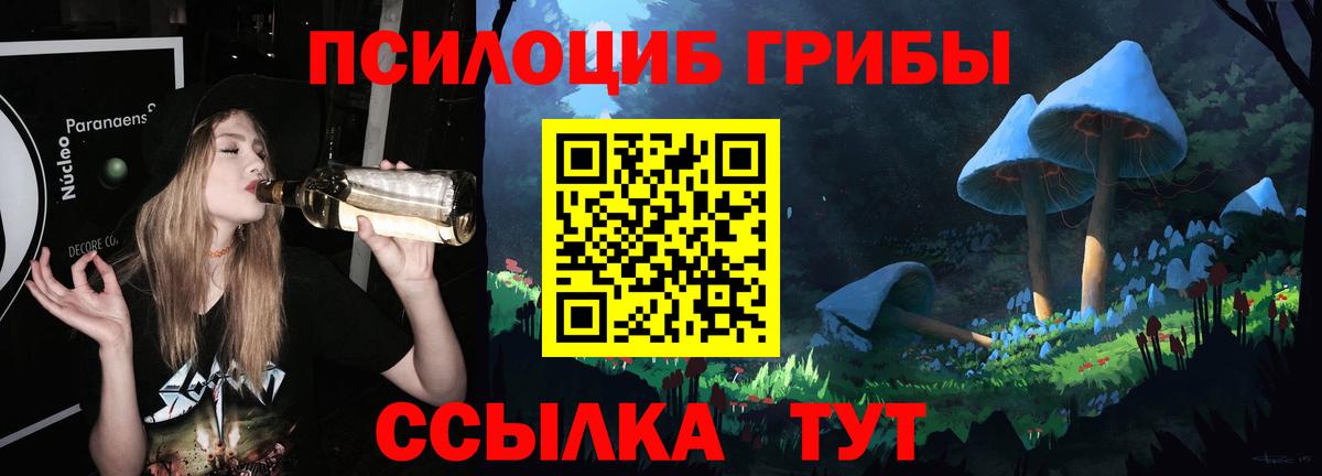 Псилоцибиновые грибы прущие грибы Ялуторовск