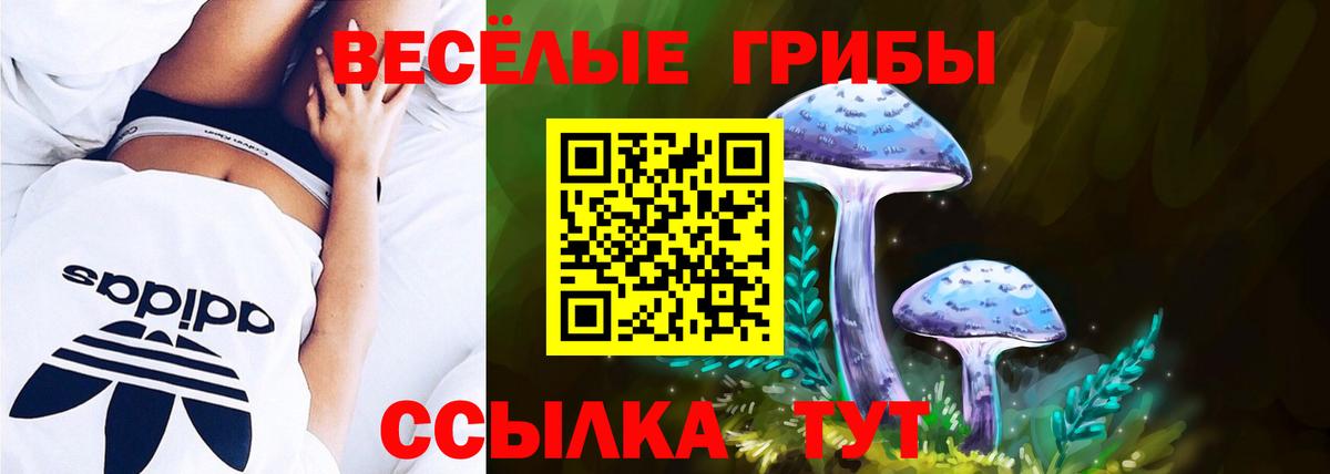 Ялуторовск  Галлюциногенные грибы MAGIC MUSHROOMS  Вход с VPN 